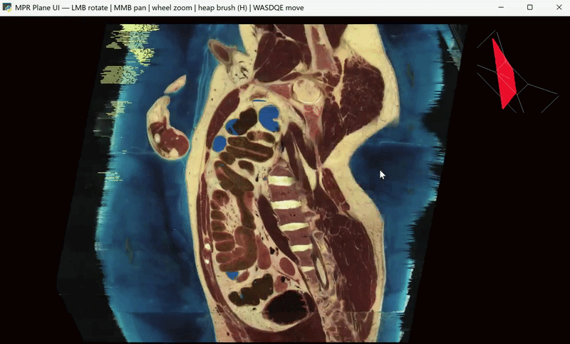 Human Visualization App Human Viewer