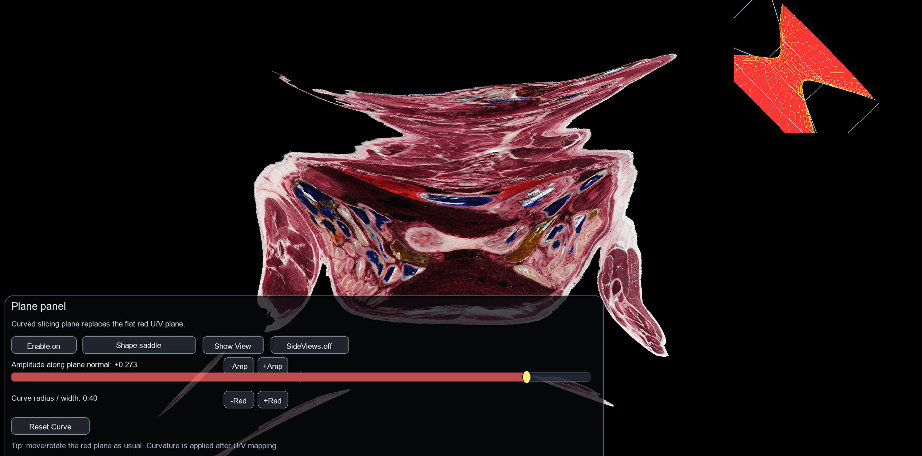 Human Visualization App Top Down Viewer